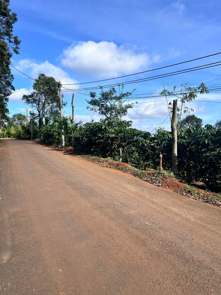 Đất nền Đắk Nông 10.000m² giá 5 tỷ - Đầu tư sinh lời ngay!