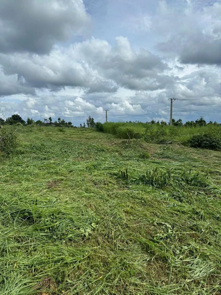 Đất nền 3600m² tại Nâm N'Jang, Đắk Nông giá chỉ 210 triệu - Cơ hội đầu tư tuyệt vời!