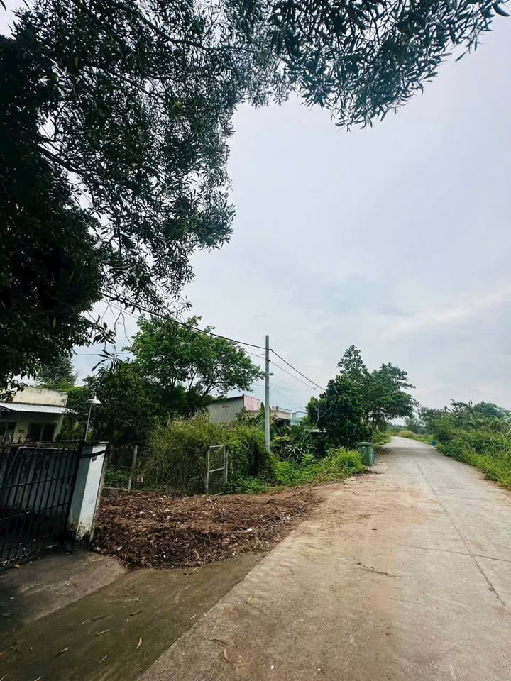 Đất nền Củ Chi 124m² giá 999 triệu - Cơ hội đầu tư sinh lời cao!