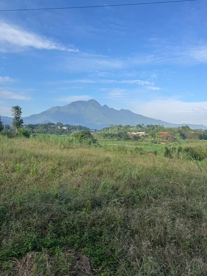 Đất thổ cư Yên Bài Ba Vì 150m² giá chỉ 1 tỷ - Cơ hội đầu tư tuyệt vời!