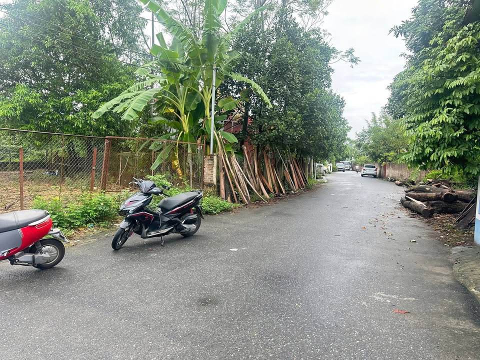 Đất thổ cư Cẩm Khê 100m² - Cơ hội đầu tư hấp dẫn tại Phú Thọ!