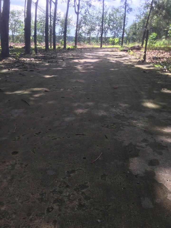 Đất nền Đồng Xoài 541.2m² giá 900 triệu - Đầu tư sinh lời tuyệt vời!