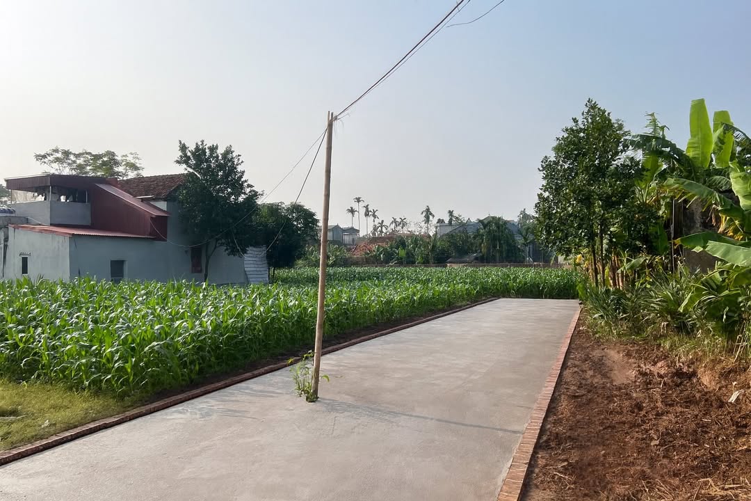 Đất nền Yên Nam, Duy Tiên, 68m² giá 1 tỷ - Cơ hội đầu tư tuyệt vời!