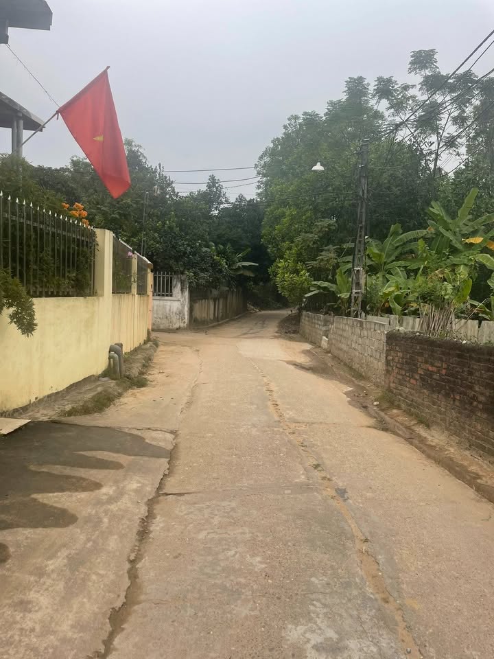 Đất nền tổ 2, phường Phú Xá 2000m² giá 700 triệu - Sổ đỏ chính chủ, đường ô tô vào tận nơi!