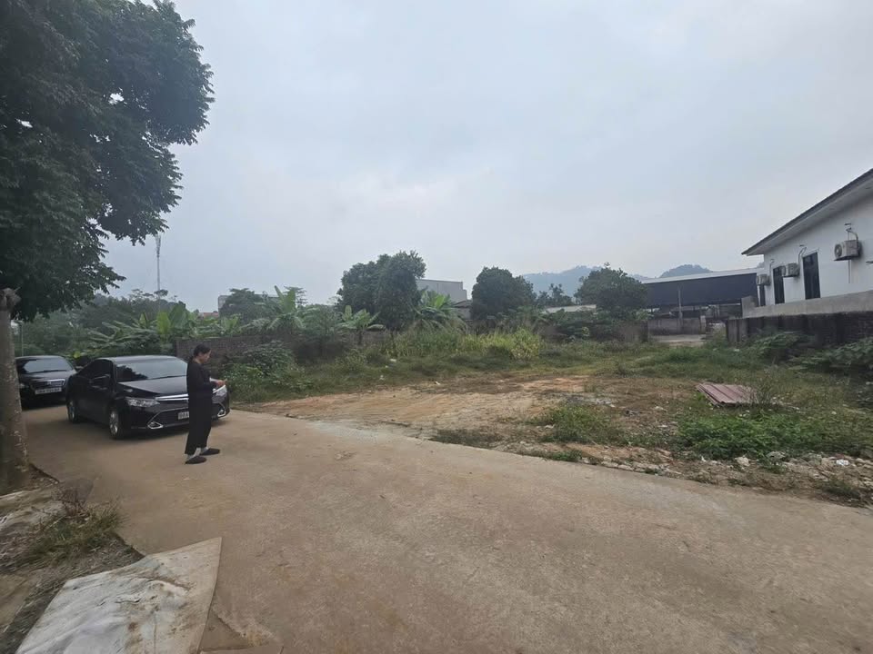 Đất nền Kim Long Tam Dương 133m² giá chỉ 1.4 tỷ - Đầu tư sinh lời ngay!