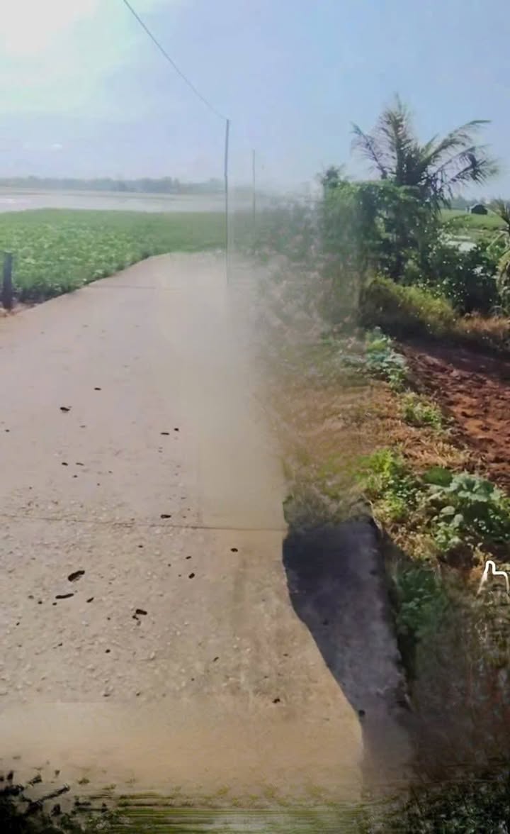 Đất nền mặt tiền lộ Đại Tâm - Mỹ Xuyên 799m² giá 490 triệu - Nở hậu thuận lợi!