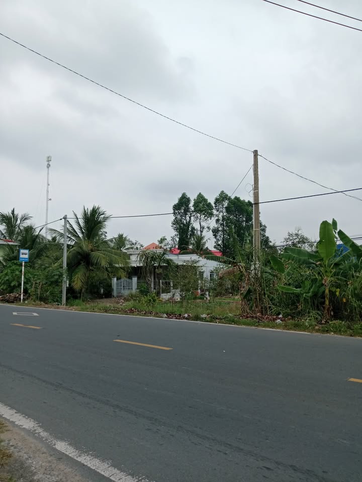 Đất thổ cư 1600m² mặt tiền QL 54 xã Lai Vung giá 10.5 tỷ - Cơ hội đầu tư tuyệt vời!