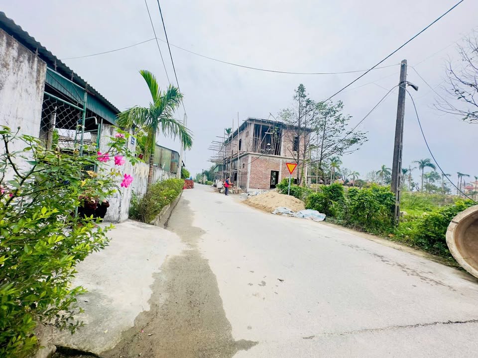 Đất quy hoạch xen dắm Liên Nhật, Thạch Hạ 148.8m² giá 2.9 tỷ - Cơ hội đầu tư hiếm có!