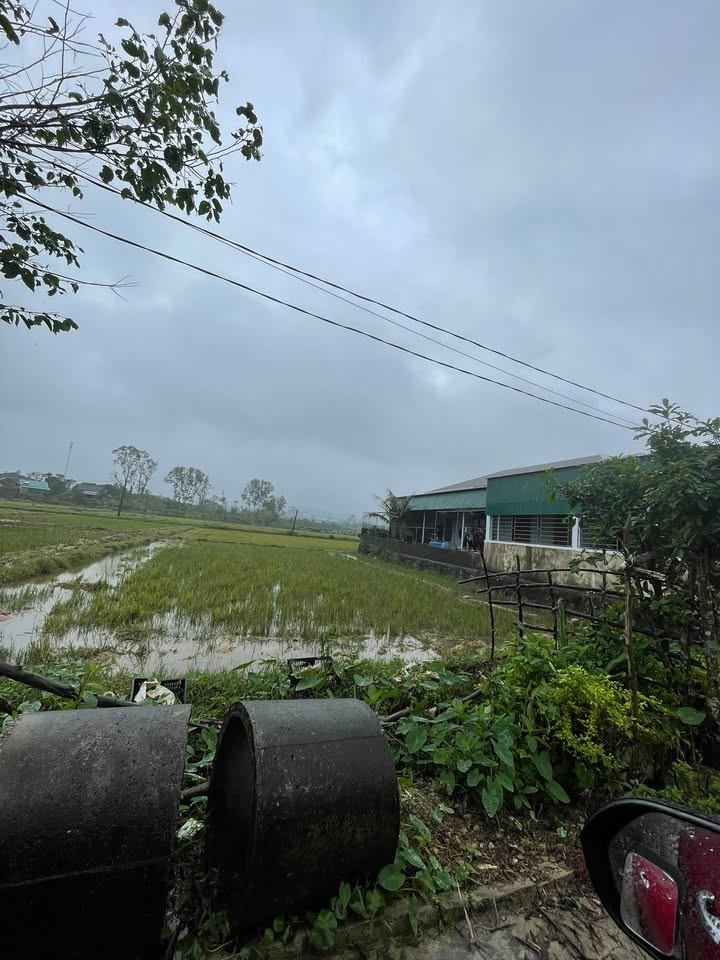 Đất nền quy hoạch thôn Thanh Sơn - Cẩm Quan 175m² giá chỉ 500 triệu - Cơ hội đầu tư tuyệt vời!