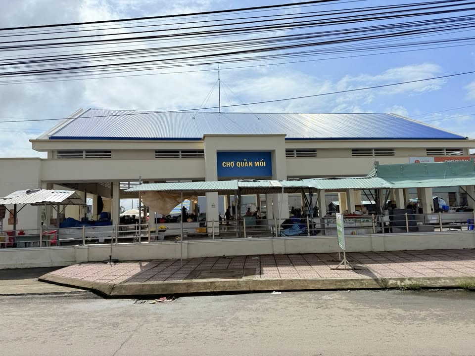 Bán Đất Khu Chợ Quán Mối, Xã Phước Lộc, Tuy Phước - Diện Tích 133m² Giá 1.35 Tỷ