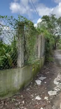 Lô đất thôn Luật Chánh, xã Phước Hiệp, Tuy Phước 86.8m² giá chỉ 300 triệu - Cơ hội đầu tư tuyệt vời!