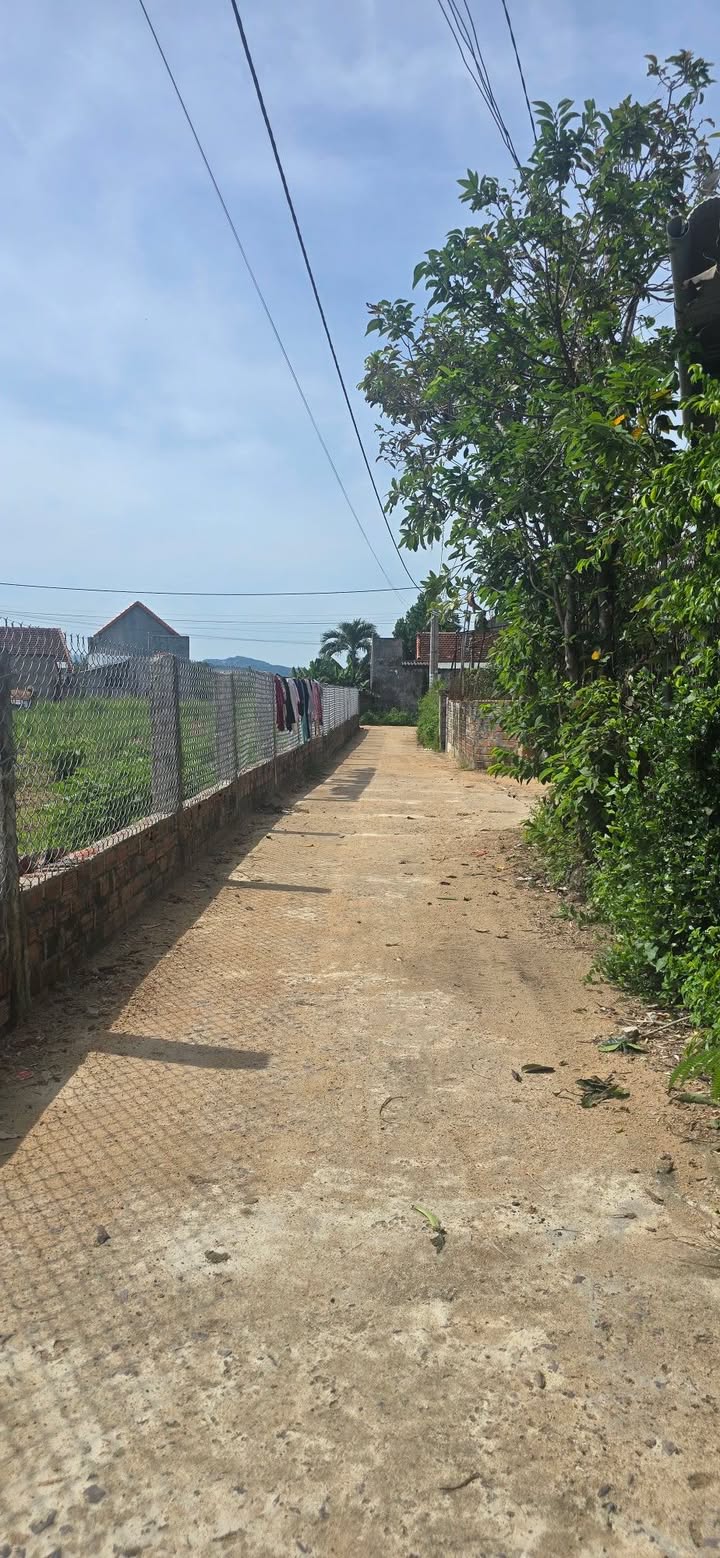 Đất nền Phước Hiệp, Tuy Phước 100m² giá chỉ 300 triệu - Cơ hội đầu tư hấp dẫn!