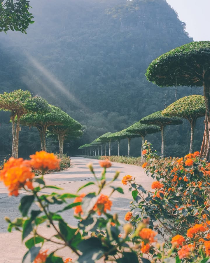 Đất nền KDC Lê Thế Tiết Đông Hà 150m² giá 1.4 tỷ - Cơ hội đầu tư sinh lời!