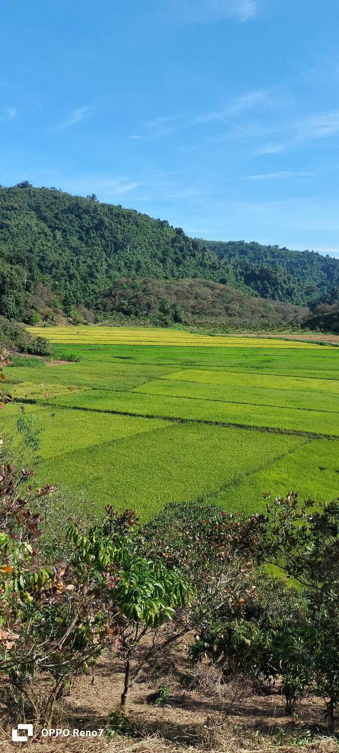 Đất đồi và ruộng Phước Cát 2, Cát Tiên 8500m² - Cần bán gấp cho người thiện chí!