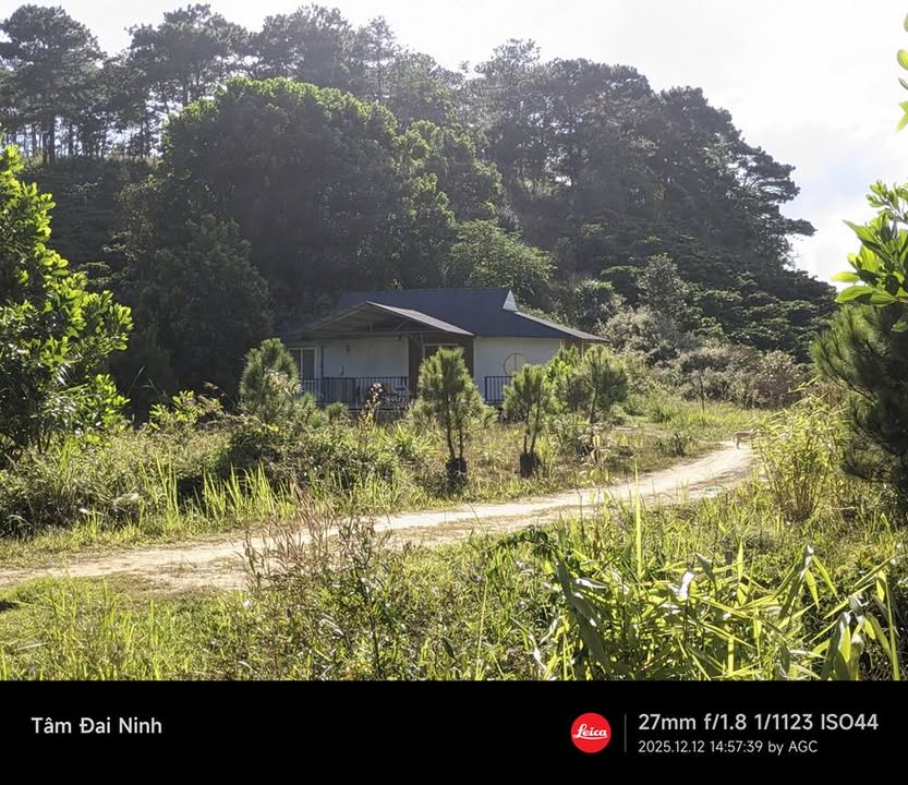 Đất thổ cư 250m² tại Ninh Loan, Đức Trọng - Giá chỉ 2.5 tỷ, thương lượng!