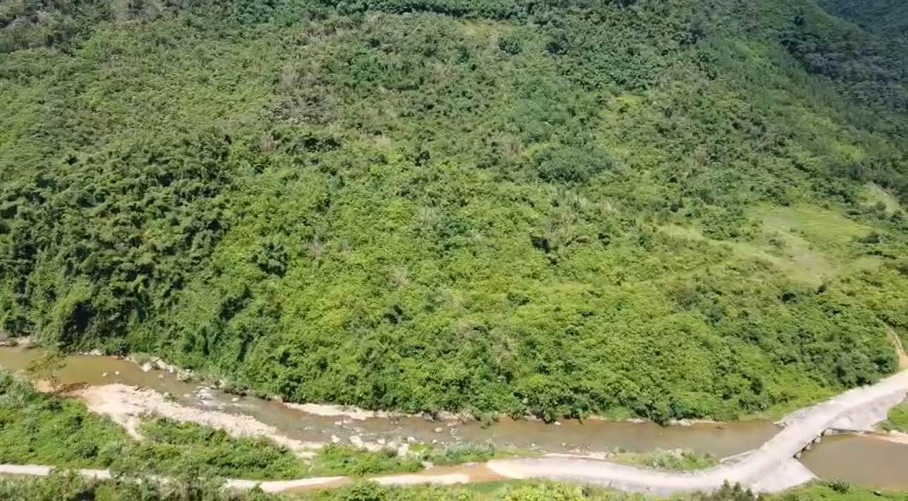 Đất rừng Tú Lý Đà Bắc 9,5ha giá 500 triệu - Cơ hội đầu tư tuyệt vời!