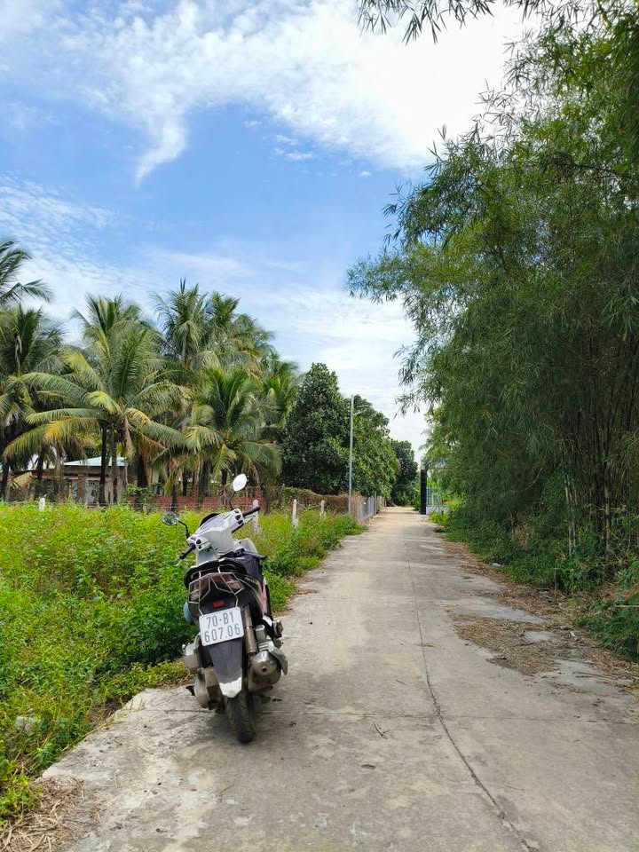 Đất thổ cư Suối Đá Dương Minh Châu 160m² giá chỉ 250 triệu - Đường ô tô vào tận nơi!