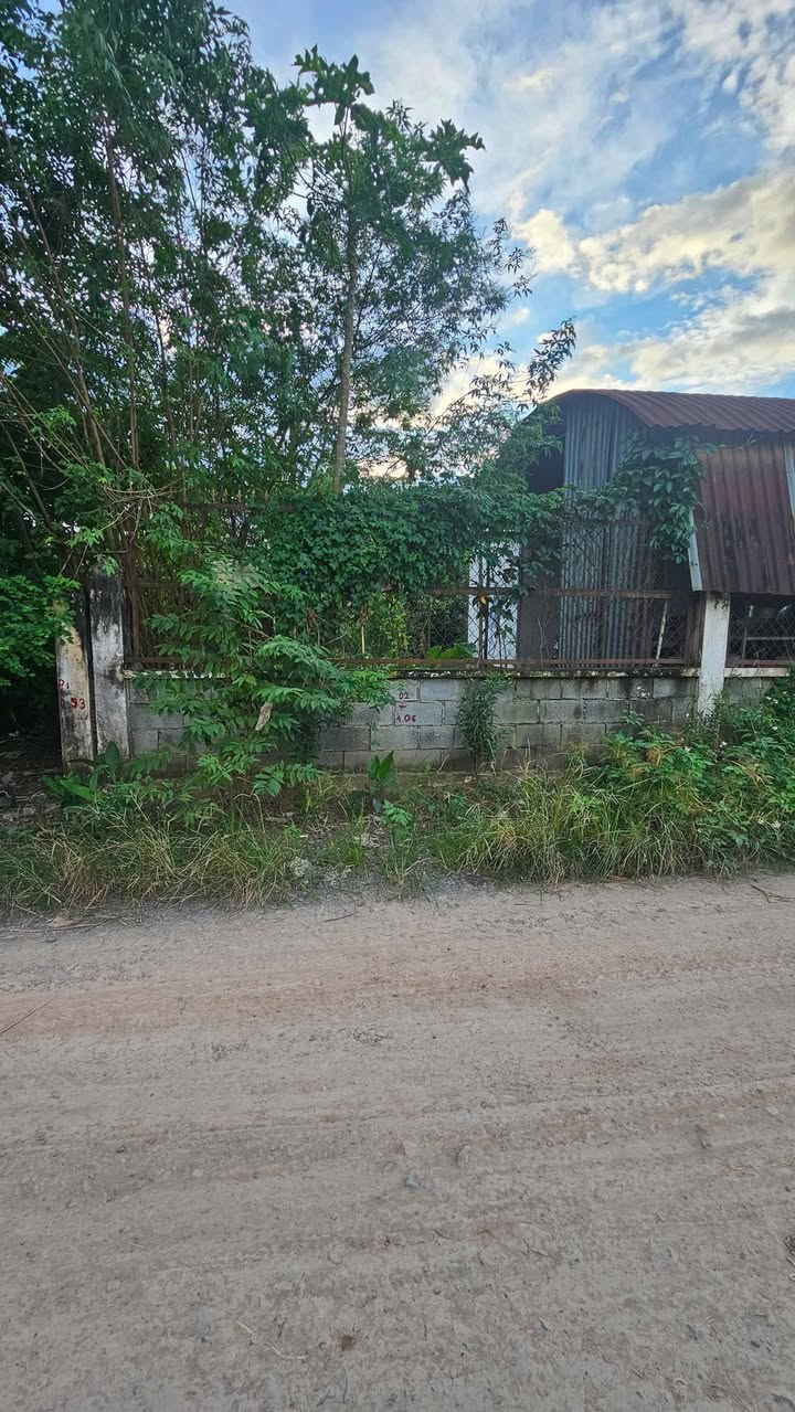 Đất nền Hội Nghĩa, Tân Uyên 150m² giá 2.15 tỷ - Vị trí buôn bán lý tưởng!