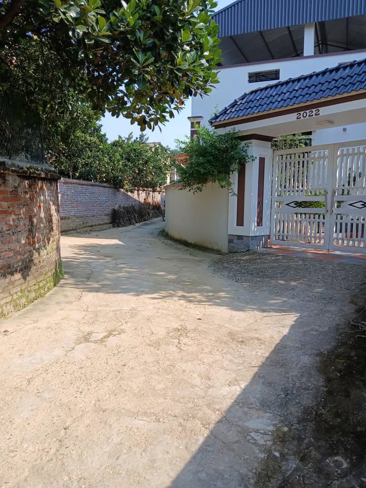 Đất thổ cư Phường Thanh Miếu 98.2m² giá 1.4 tỷ - Cơ hội đầu tư tuyệt vời!