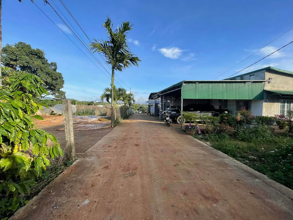 Đất nền Hiệp Thạnh, Lâm Đồng 400m² giá 1.45 tỷ - Cơ hội đầu tư tuyệt vời!