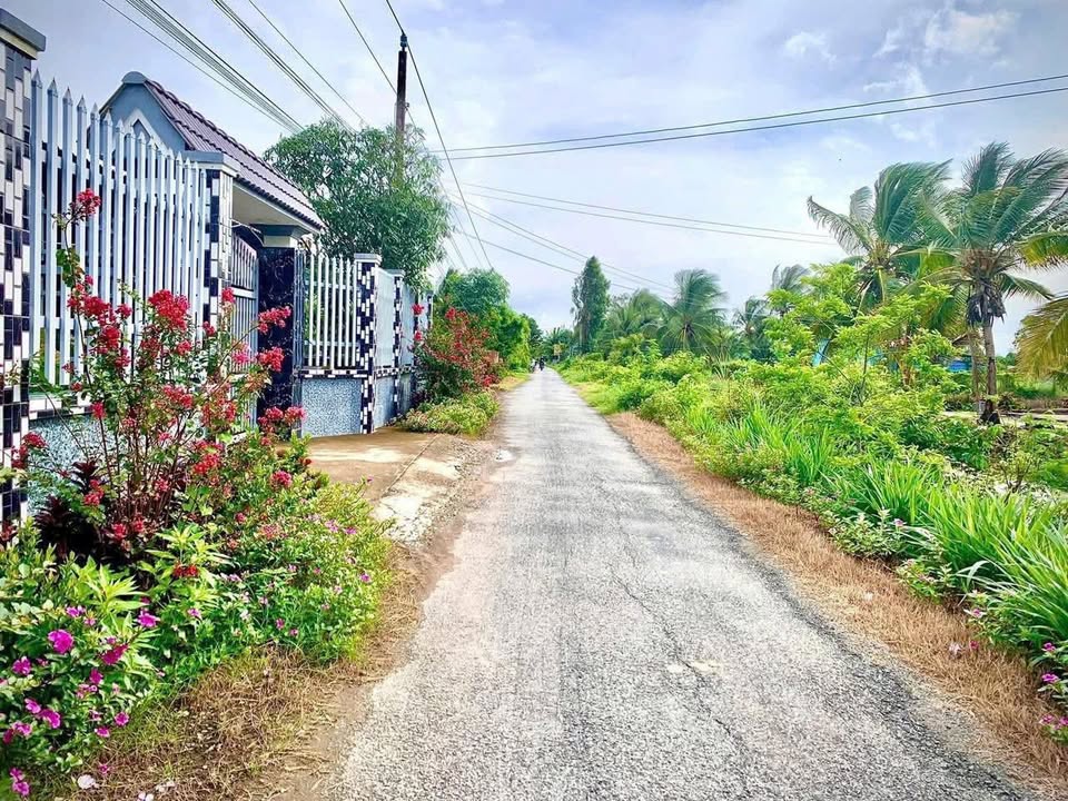 Đất nền mặt tiền nhựa 268m² tại Gò Công Đông - Giá chỉ 560 triệu!