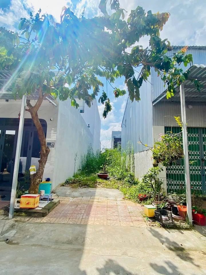 Đất nền đẹp đường C9, KDC Phú An, 62m² giá 1.98 tỷ - Sổ hồng chính chủ!