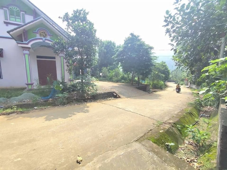 Đất nền view sông Đà tại Minh Quang, Ba Vì 1000m² giá chỉ 2 tỷ - Cơ hội đầu tư tuyệt vời!