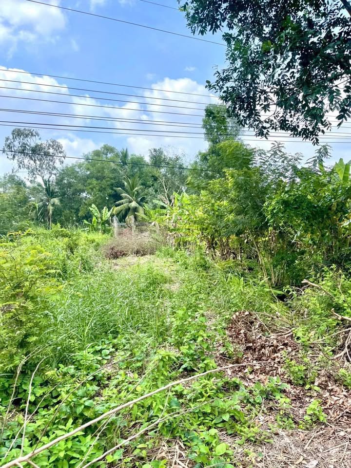 Đất nền Lý Văn Lâm, Cà Mau 180m² giá 300 triệu - Đầu tư sinh lời ngay!