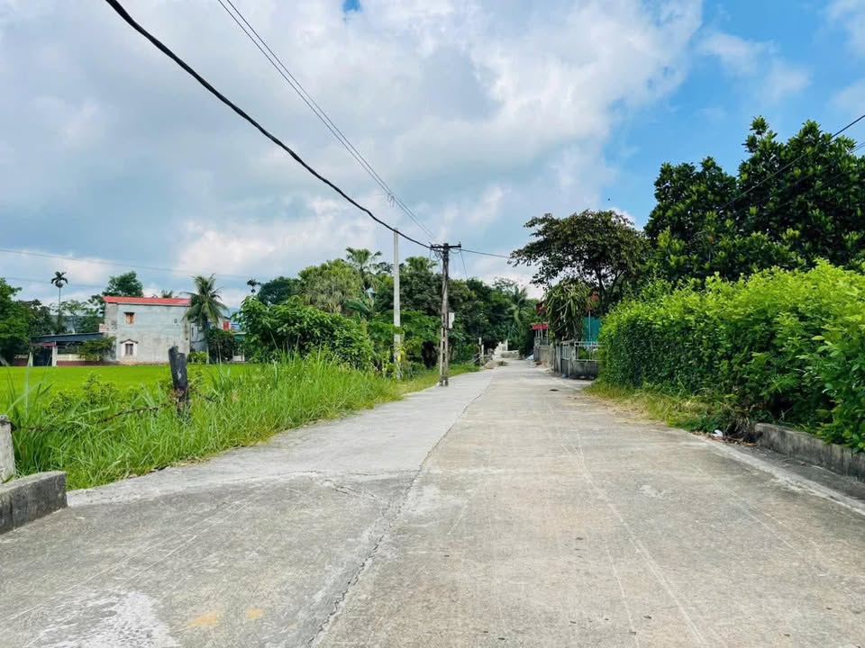 Đất nền Tế Thắng, Nông Cống 180m² giá chỉ 200 triệu - Cơ hội đầu tư tuyệt vời!