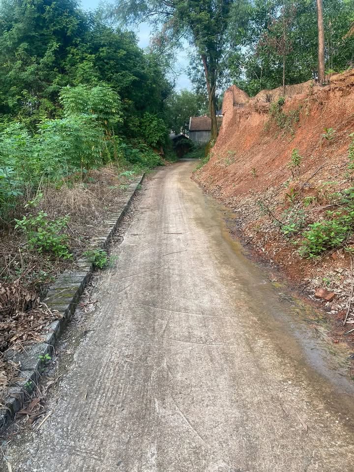 Đất nền Xuân Hương Lạng Giang 190m² giá 600 triệu - Sổ đỏ chính chủ, mặt tiền 10m