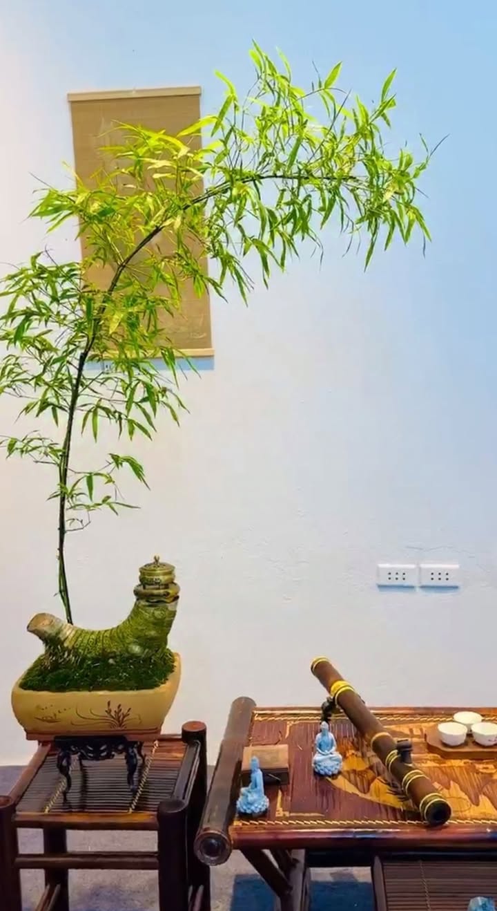 Đất nền Trần Hưng Đạo, Kon Tum 185m² giá chỉ 4xx triệu - Cơ hội đầu tư hấp dẫn!