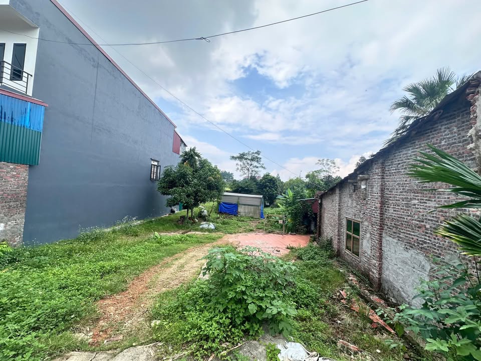 Đất nền Dữu Lâu, Việt Trì 337m² giá 6.2 tỷ - Vị trí đắc địa, gần bệnh viện