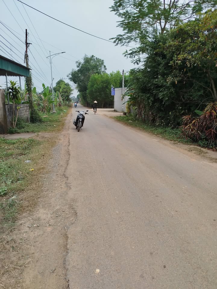 Đất nền mặt đường Trịnh Khắc Phục, xã Sao Vàng, 337.5m² - Đầu tư sinh lời tuyệt vời!