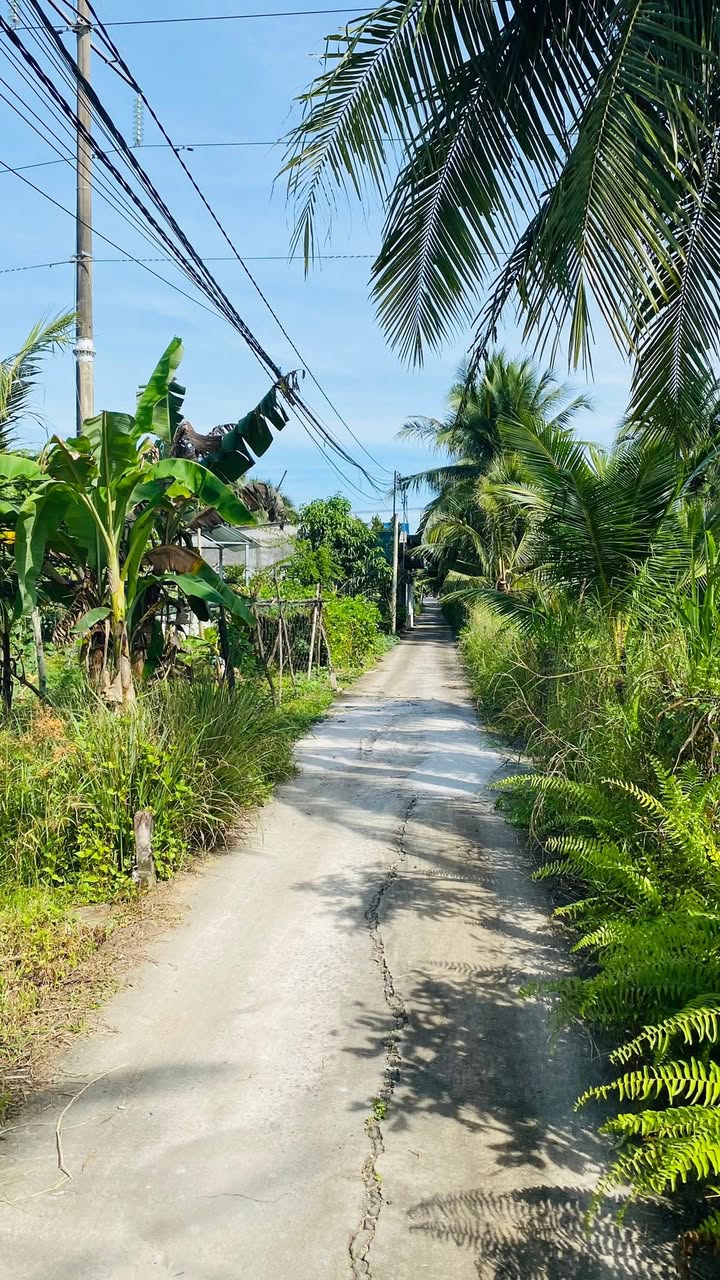 Đất nền Phú Tân, Bến Tre 300m² giá 899 triệu - Cơ hội đầu tư hấp dẫn!