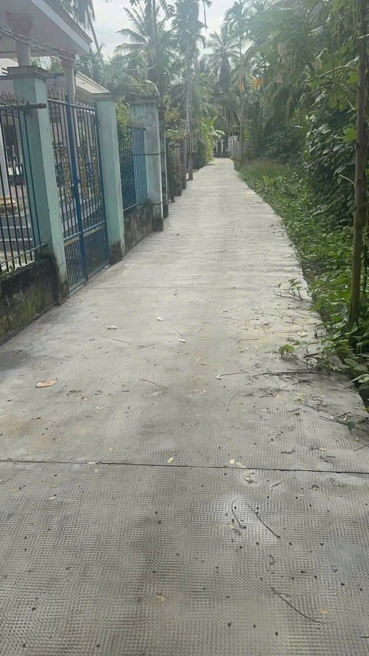 Đất vườn dừa Thanh Tân Mỏ Cày Bắc 750m² giá 620 triệu - Cơ hội đầu tư tuyệt vời!