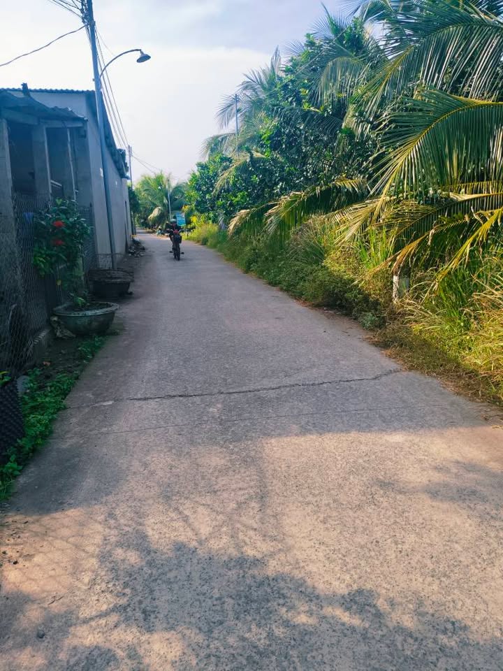 Đất nền 6300m² xã Giao Long, Bến Tre chỉ 6.0165 tỷ - Cơ hội đầu tư hấp dẫn!