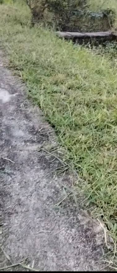 Đất nền Vĩnh An, Ba Tri 500m² chỉ 150 triệu - Đầu tư tuyệt vời!