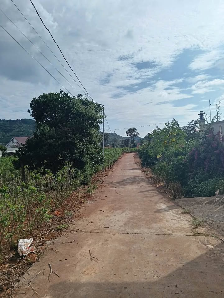 Đất nền Gia Lâm Lâm Hà 4843m² giá 7.5 tỷ - Cơ hội đầu tư hiếm có!