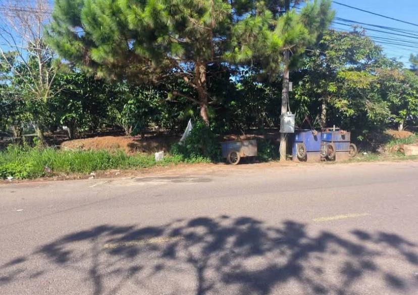 Đất mặt tiền Lê Phụng Hiểu P3 Bảo Lộc 1500m² giá 13 tỷ - Đầu tư sinh lời ngay!