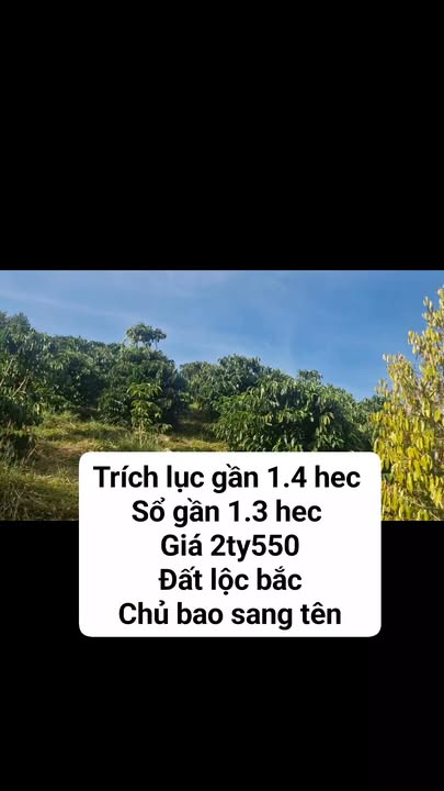 Đất nền Lộc Bắc Bảo Lâm 14000m² giá 2.55 tỷ - Sổ đỏ chính chủ, bao sang tên!