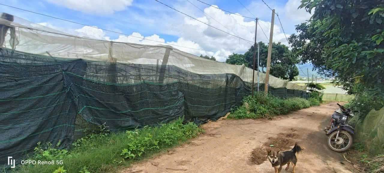 Đất thổ cư Ka Đô Đơn Dương 4300m² giá 800 triệu - Cơ hội đầu tư tuyệt vời!