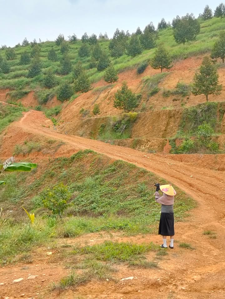 Farm 2,6ha Đạ Kho Lâm Đồng giá 3,8 tỷ - Đường xe hơi, điện nước đầy đủ!