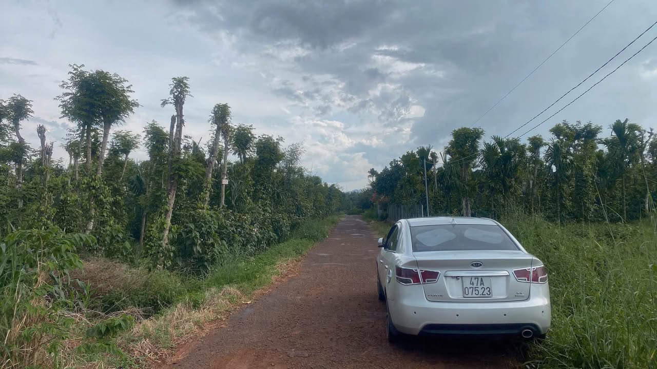 Đất nền mặt tiền đường nhựa xã Hòa Xuân, Buôn Ma Thuột 125m² giá 699 triệu - Sổ đỏ chính chủ