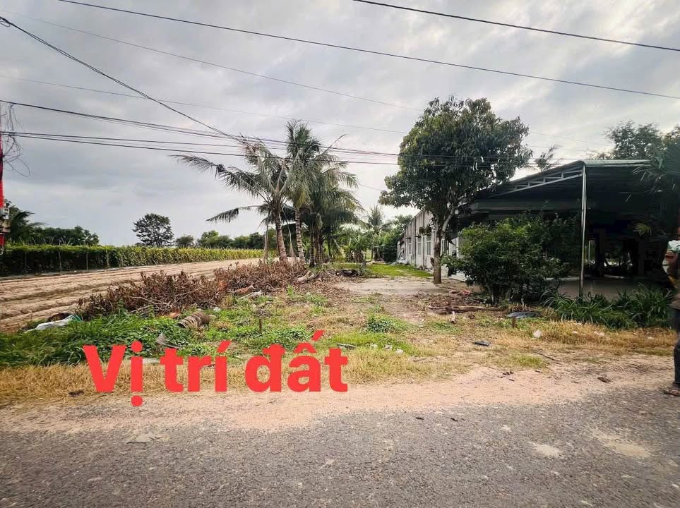 Đất thổ cư Hảo Đước, Châu Thành, Tây Ninh 235m² - Giá tốt hiếm có!