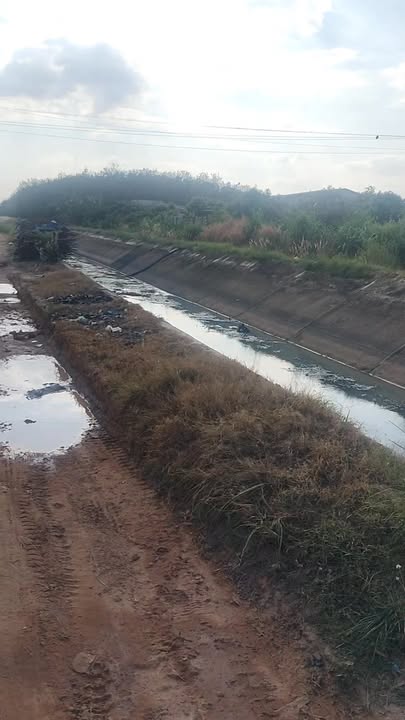 Đất nền chính chủ Truông Mít, Dương Minh Châu 120m² - Giá chỉ 300 triệu VND!