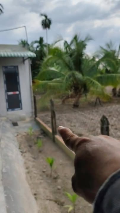 Kho xưởng mini Gia Lộc Trảng Bàng 2000m² giá chỉ 30 triệu - Hoàn thiện mới 100%!