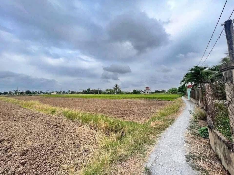 Đất thổ cư Tân Lân 507m² giá 390 triệu - Đầu tư sinh lời hấp dẫn!