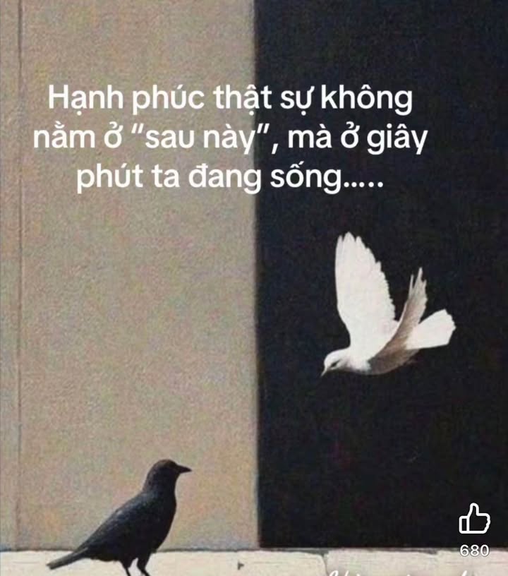 Đất mặt tiền đường Lê Quý Đôn, phường Tân Thạnh, Tam Kỳ 137m² - Vị trí kinh doanh đắt địa!