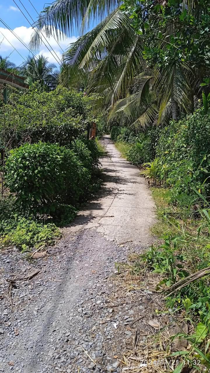 Đất nông nghiệp 1841m² An Thạnh Thủy, Tiền Giang - Đầu tư sinh lời hấp dẫn!