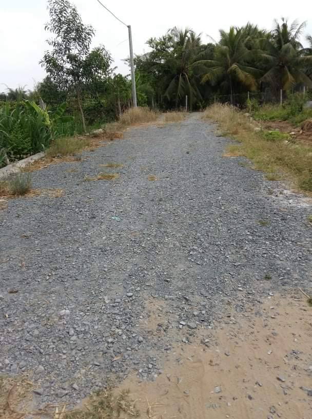 Đất nền thổ cư Tân Hương 100m² giá 520 triệu - Vị trí đắc địa gần chợ!